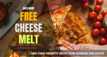 Dairy-Free Cheese: Melting Mystery Solved!