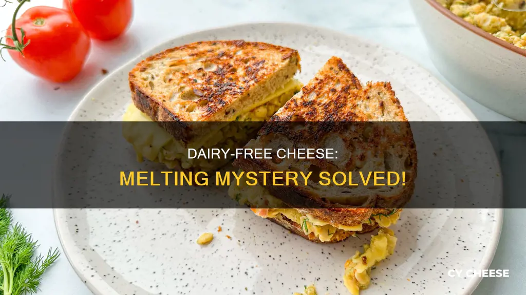 does dairy free cheese melt