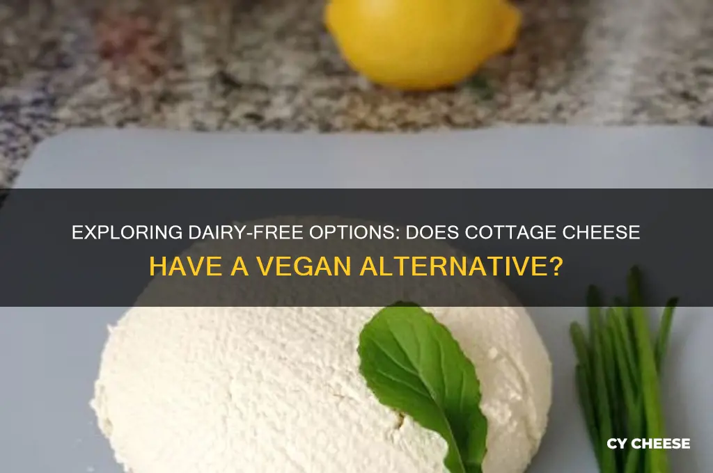 does dairy free cottage cheese exist