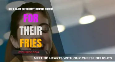 Dairy Queen Fries: Dipping Cheese Availability and Tasty Pairings Explored