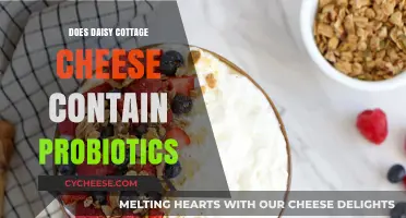 Does Daisy Cottage Cheese Have Probiotics? A Nutritional Breakdown
