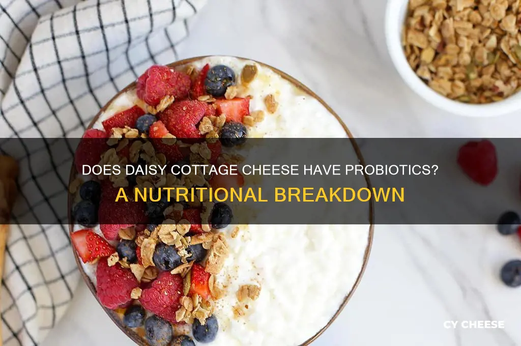does daisy cottage cheese contain probiotics