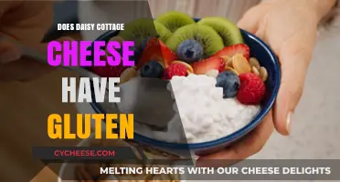 Is Daisy Cottage Cheese Gluten-Free? A Clear Answer for You
