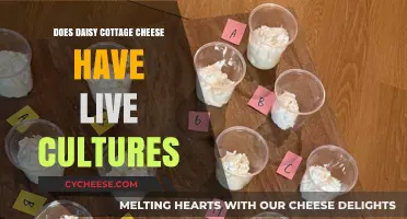 Does Daisy Cottage Cheese Contain Live Cultures? A Detailed Look