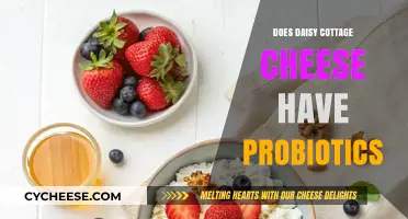Does Daisy Cottage Cheese Contain Probiotics? Uncovering the Truth