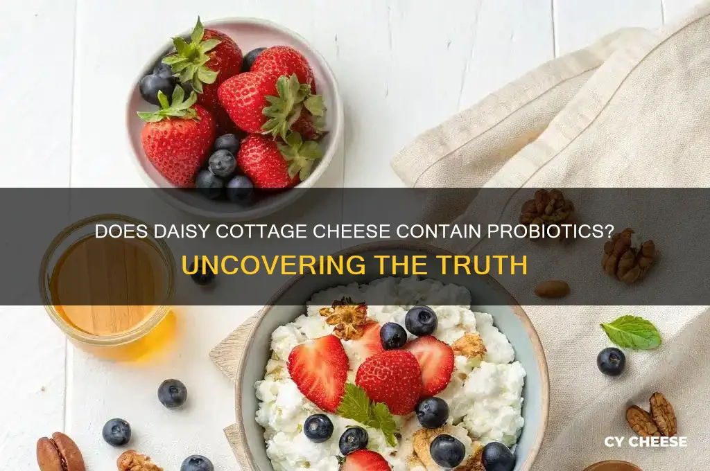 does daisy cottage cheese have probiotics