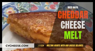 Daiya Cheddar's Melting Mystery: Unveiling the Truth