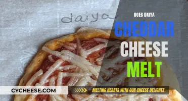 Daiya Cheddar Cheese: Melting and Taste Tested