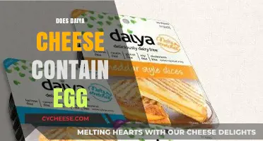 Is Daiya Cheese Egg-Free? A Vegan's Guide to Ingredients