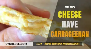 Daiya Cheese and Carrageenan: What You Need to Know