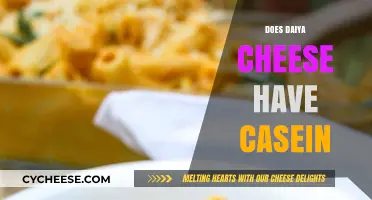 Is Daiya Cheese Casein-Free? A Vegan's Guide to Dairy-Free Cheese