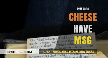 Daiya Cheese and MSG: Uncovering the Truth About Ingredients