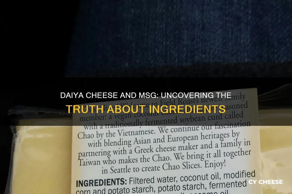 does daiya cheese have msg