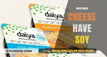 Daiya Cheese and Soy: Uncovering Ingredients in Your Plant-Based Cheese