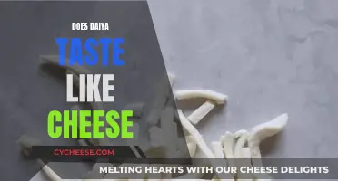 Daiya's Taste: Cheesy or Not?