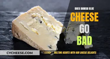 The Ultimate Guide to Danish Blue Cheese Shelf Life