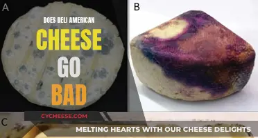 Deli American Cheese: How Long Does it Last?