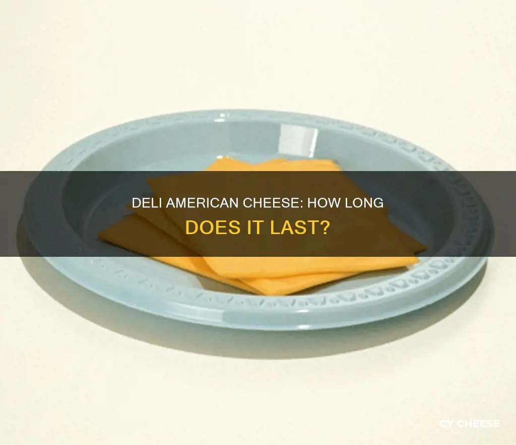 does deli american cheese go bad