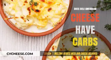 Deli American Cheese: Carb-Free or Not?