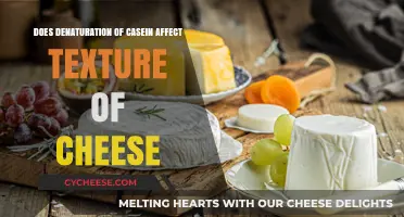 How Denaturation of Casein Influences Cheese Texture: A Detailed Analysis