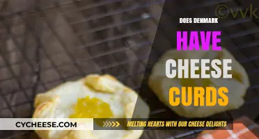 Exploring Danish Dairy: Are Cheese Curds a Part of Denmark's Cuisine?