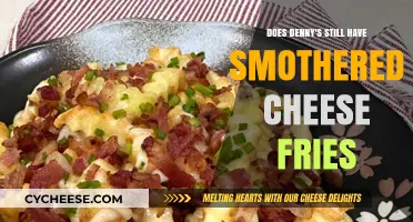Denny's Smothered Cheese Fries: Are They Still on the Menu?