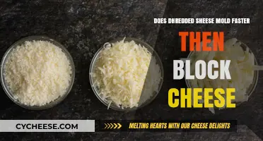 Does Shredded Cheese Mold Faster Than Block Cheese? A Comparison