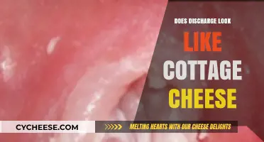 Cottage Cheese Discharge: Understanding Normal vs. Abnormal Vaginal Health