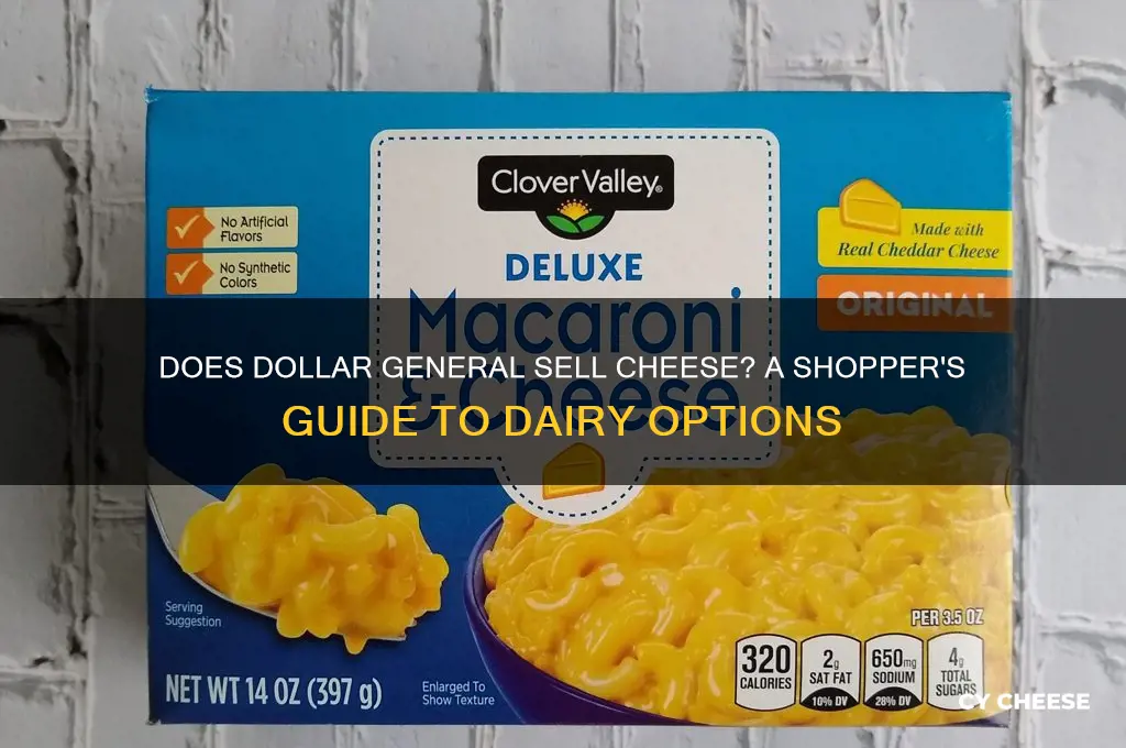 does dollar general have cheese