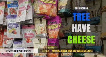 Does Dollar Tree Sell Cheese? Exploring Affordable Grocery Options