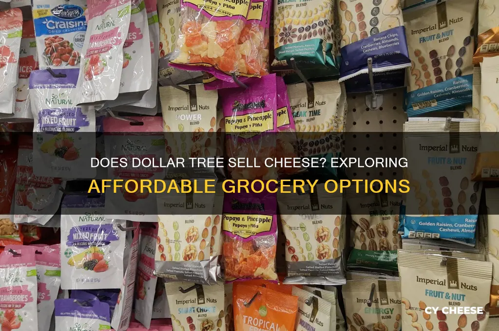 does dollar tree have cheese