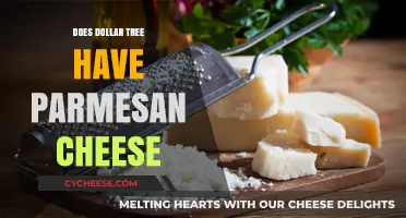 Dollar Tree Parmesan Cheese: What You Need to Know