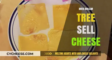 Does Dollar Tree Sell Cheese? Exploring Budget-Friendly Grocery Options