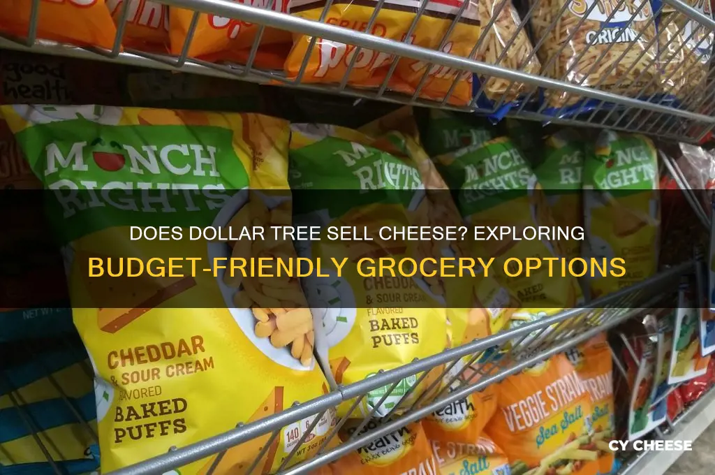does dollar tree sell cheese
