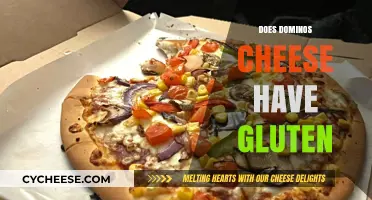 Is Domino's Cheese Gluten-Free? A Detailed Look at Ingredients