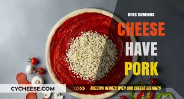 Does Domino's Cheese Contain Pork? Unraveling the Ingredients Mystery
