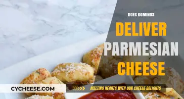 Does Domino's Deliver Parmesan Cheese? A Tasty Inquiry Answered