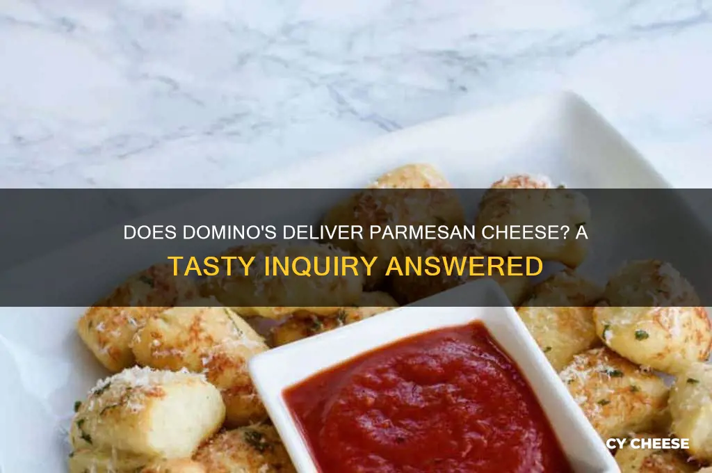 does dominos deliver parmesian cheese