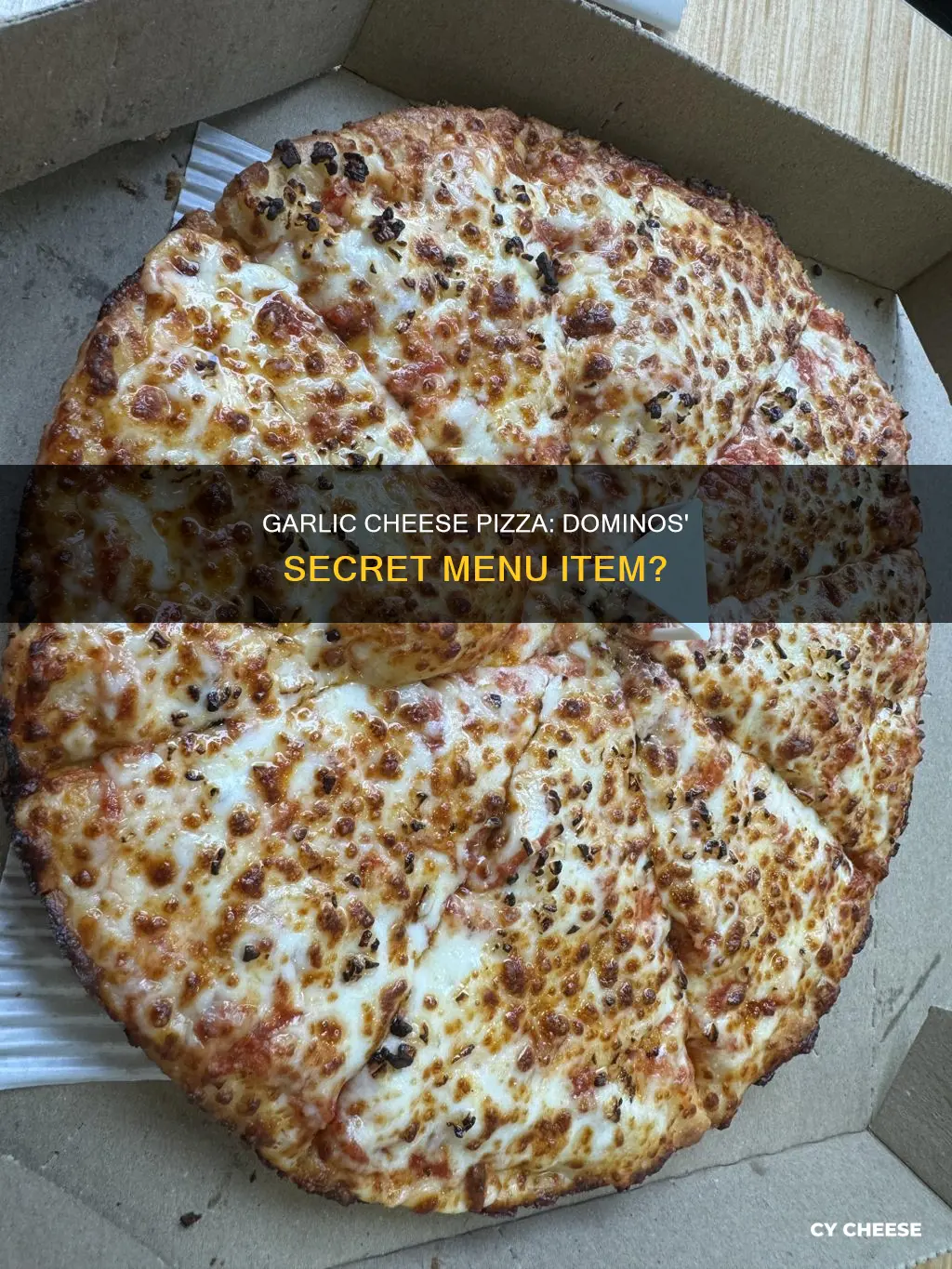 does dominos do garlic cheese pizza