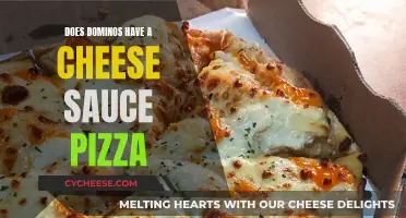 Cheese Sauce Delight: Dominos' Unique Pizza Twist