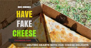 Does Domino's Use Fake Cheese? Uncovering the Truth Behind the Melt