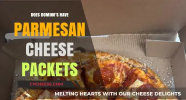 Domino's Parmesan Cheese Packets: What You Need to Know