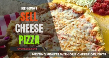 Domino's Cheese Pizza: What's on the Menu?