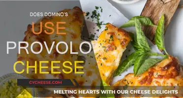 Domino's Cheese Choice: Provolone or Not?