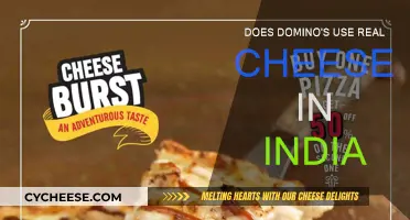 Domino's India: Real Cheese or Fake?