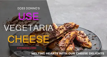 Domino's Cheese: Is it Vegetarian-Friendly?