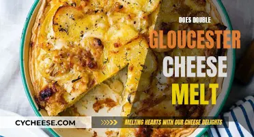 The Melting Point: Double Gloucester Cheese's Meltability