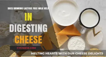 Lactose-Free Milk: A Solution for Cheese Lovers?