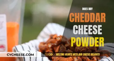 The Surprising Uses of Dry Cheddar Cheese Powder: More Than Just Snacks