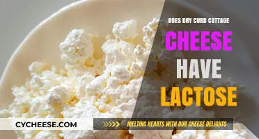 Does Dry Curd Cottage Cheese Contain Lactose? A Detailed Answer
